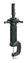 search (8).webp