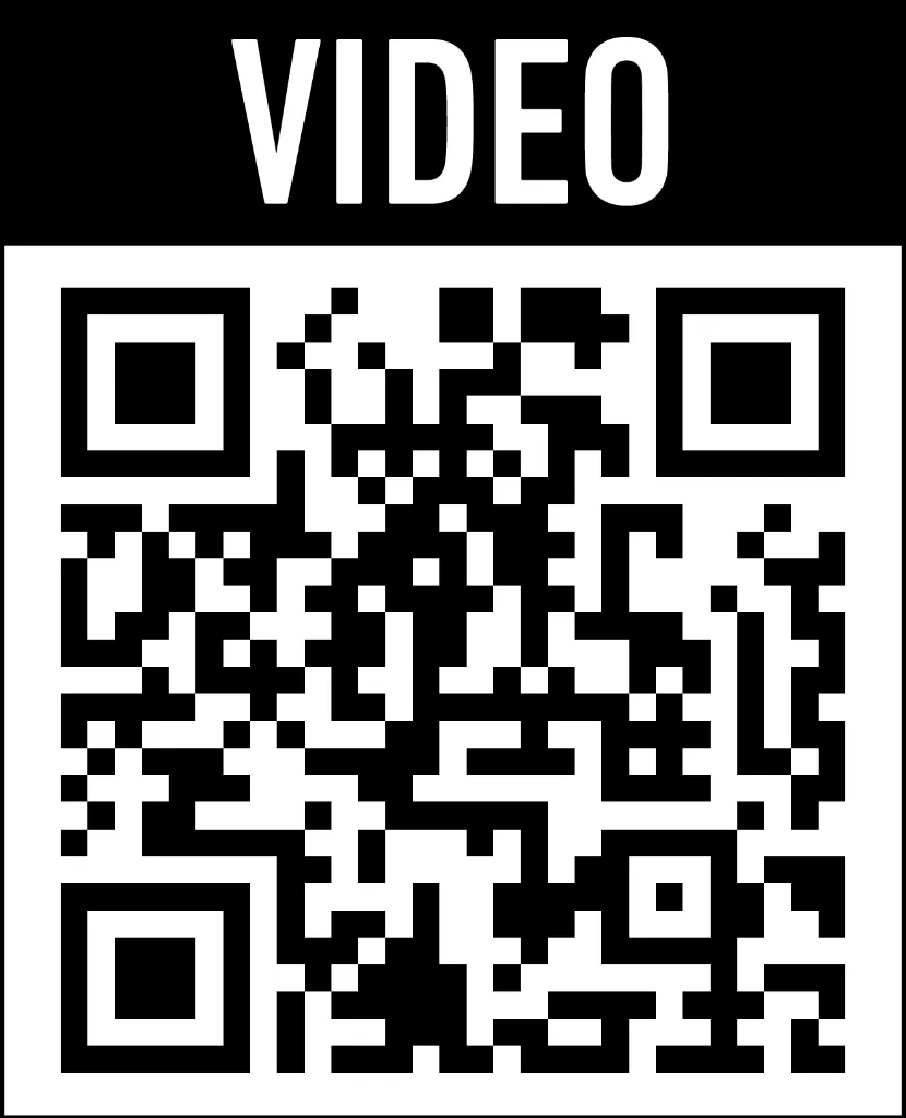 search (8).webp