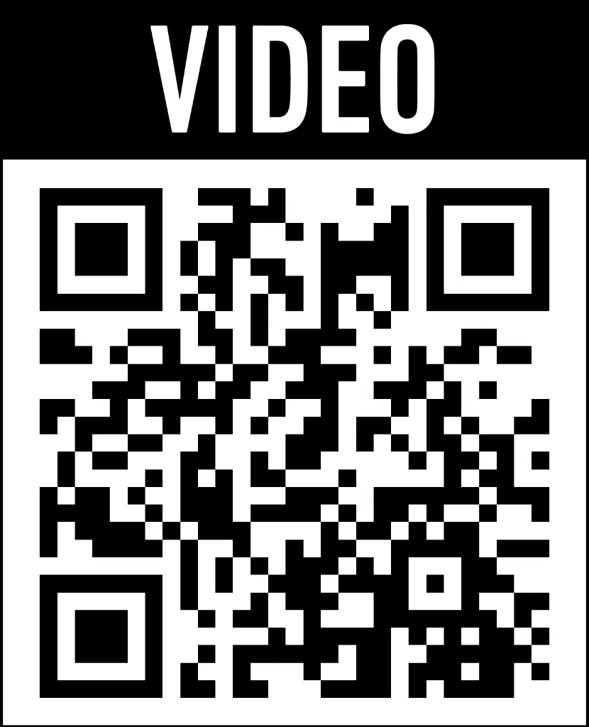 search (11).webp